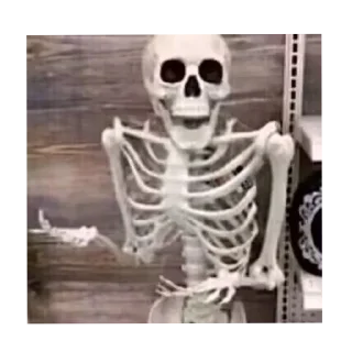Telegram sticker 👍 Скелеты 💀💀💀