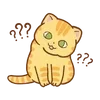Video sticker 🌟 hey, orange cat!! ...