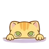 Sticker 🌟 hey, orange cat!! @kiokome