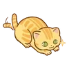 Video sticker 🌟 hey, orange cat!! ...