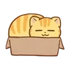 Sticker 🌟 hey, orange cat!! @kiokome