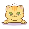 Sticker 🌟 hey, orange cat!! @kiokome