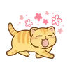Video sticker 🌟 hey, orange cat!! ...