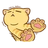 Video sticker 🌟 hey, orange cat!! ...