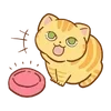 Video sticker 🌟 hey, orange cat!! ...