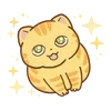 Video sticker 🌟 hey, orange cat!! ...