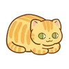Video sticker 🌟 hey, orange cat!! ...