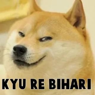 Video sticker 😎 @shubh_you भारतीय stereotypes :: @fStikBot