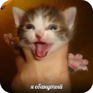 Telegram sticker 🤗 Больше стиков тут: @stikery4