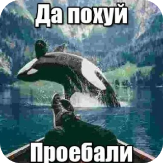 Telegram sticker 🖼 Хуй с маслом