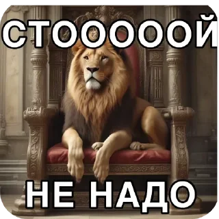 Telegram sticker 👍 shaiba @qqnuk