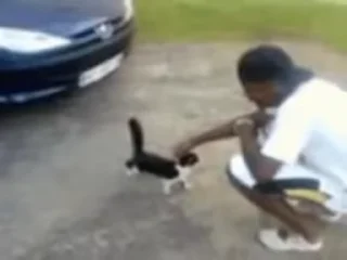 Video sticker 👎 shaiba @qqnuk