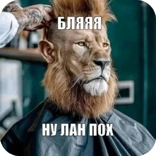 Telegram sticker 🫥 shaiba @qqnuk