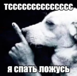 Telegram sticker 😁 shaiba @qqnuk