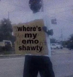 Video sticker ❔ my feels :: @fStikBot