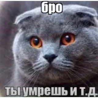 Video sticker 🥰 кишка