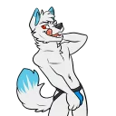 Video sticker 😜 Techno Fox Stickers