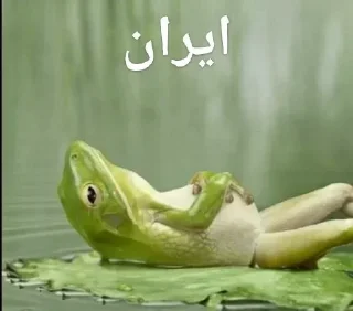 Telegram sticker 🕳 iran