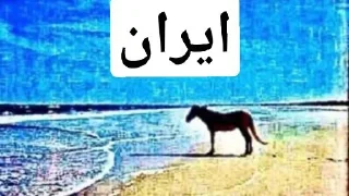 Video sticker 🕳 iran