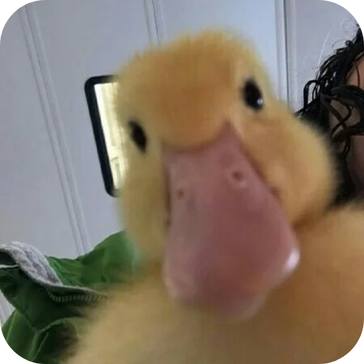 Telegram sticker 🦆 سیرک🦆🎈