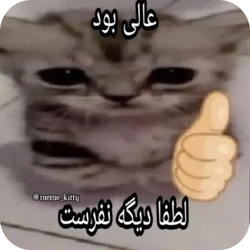 Telegram sticker 👍 سیرک🦆🎈
