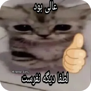 Video sticker 👍 سیرک🦆🎈