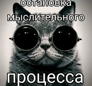 Telegram sticker 😎 дефавгуст помнеш