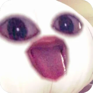 Video sticker 🫥 fifi core