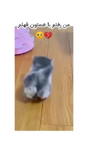 Video sticker 💔 😺‏✿͜͡❥ຊēฯຖค๖ْ❥😺 :: @fStikBot