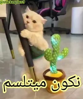 Video sticker ☹️ 😺‏✿͜͡❥ຊēฯຖค๖ْ❥😺 :: @fStikBot