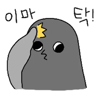 Video sticker ⭐ 잼둘기 2 @moe_sticker_bot