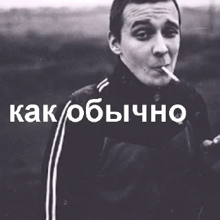 Video sticker 👌 как обычно