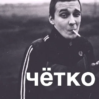 Telegram sticker 👍 как обычно