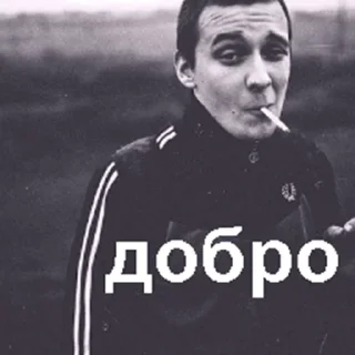 Video sticker 👍 как обычно