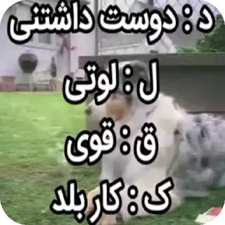 Video sticker 😔 آج