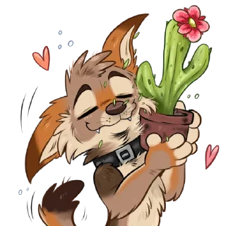 Video sticker 🌵 Xyk