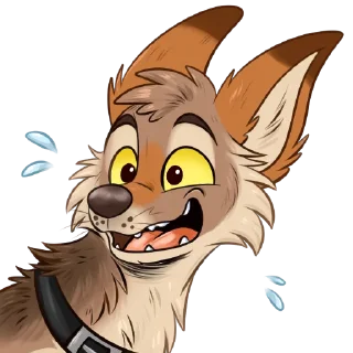 Video sticker 💦 Xyk