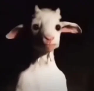 Video sticker 🌟 Goofyistic pack | @NorseNomads × @living_being_bot