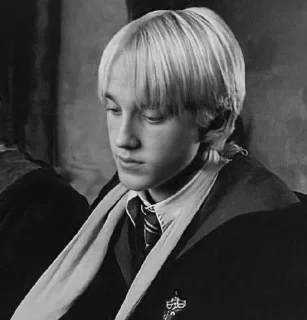 Video sticker 🪄 Harry Potter