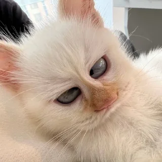 Telegram sticker 😐 MarziPaN :: @fStikBot