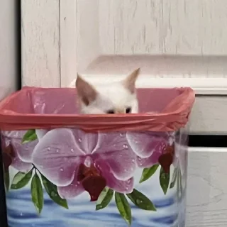 Telegram sticker 😕 MarziPaN :: @fStikBot