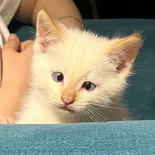 Sticker 😕 MarziPaN :: @fStikBot