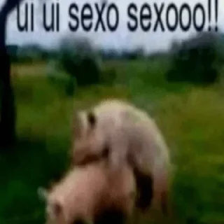 Video sticker 🇷🇺 Легендарная хуйня @skyendx