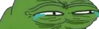 Video sticker 😂 Pepe @Gallery_Memes