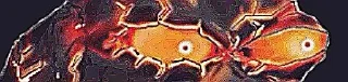 Telegram sticker 🤣 Pepe @Gallery_Memes
