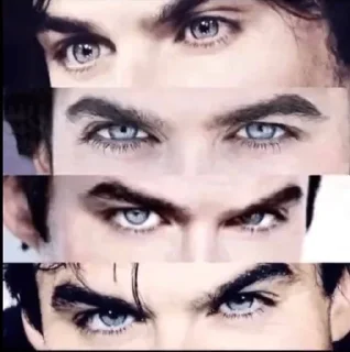 Video sticker 😹 Looksmaxxing | $LMX :: @fStikBot