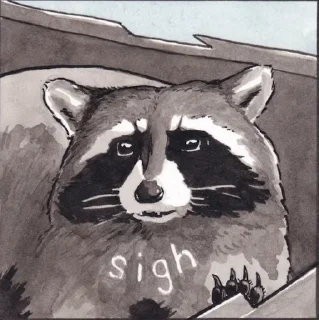 Video sticker 😐 Raccoon