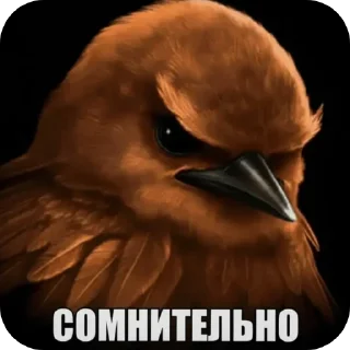 Video sticker 🖼 Вряд-ли @rst1k