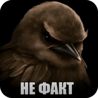 Telegram sticker 🖼 Вряд-ли @rst1k