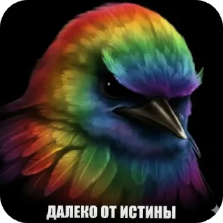 Telegram sticker 👍 Вряд-ли @rst1k